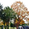 Memoriam-Garten Grevenbroich Elsen